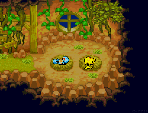 Pokemon Mystery Dungeon